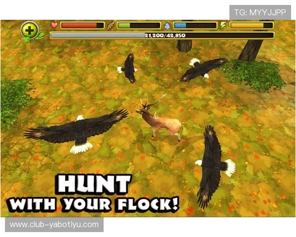 亚搏app官方地址官方平台最新公告与使用指南全攻略 亚搏app官方地址官方平台最新公告与使用指南全攻略