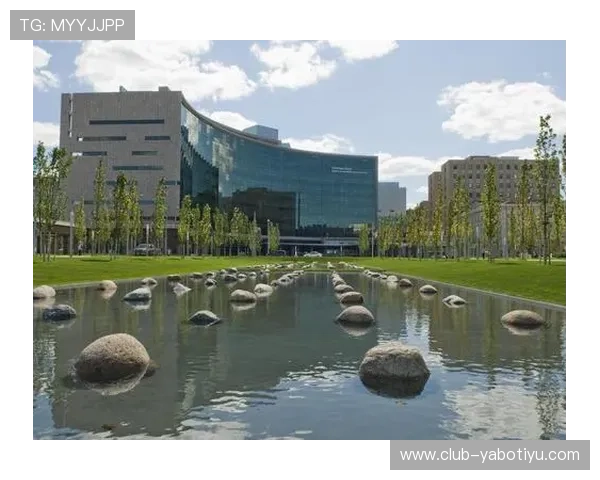 新亚博官网：如何注册登录新亚博官网平台的详细步骤与注意事项